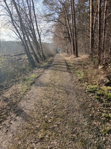 Mühlheimer Volkslauf (10 km)