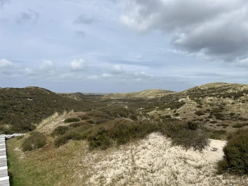 Aus List auf Sylt auf den Ellenbogen
