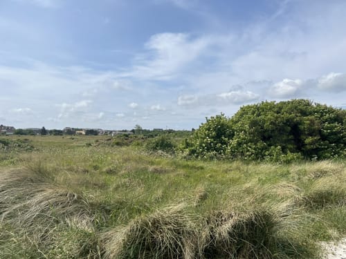 Aus List auf Sylt auf den Ellenbogen