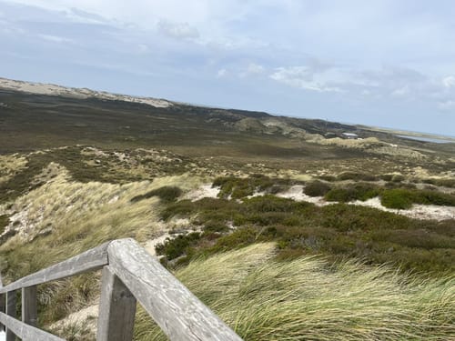 Aus List auf Sylt auf den Ellenbogen
