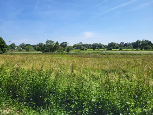 Freisinger Moos ab Altstadt