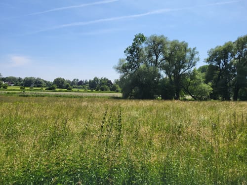 Freisinger Moos ab Altstadt