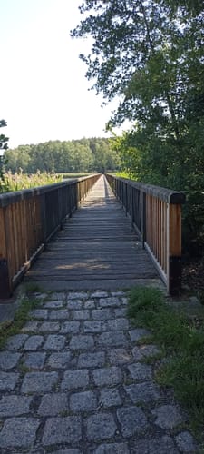 Braunsteichlauf