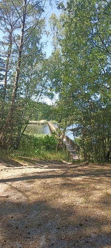 Braunsteichlauf
