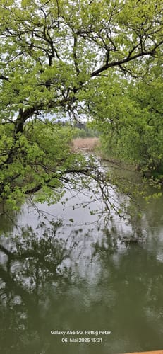 Simssee Rundweg