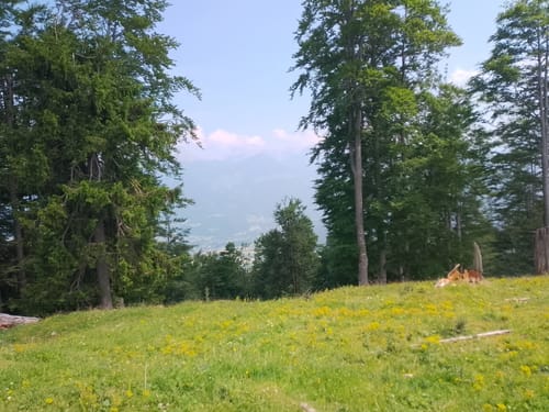 Wanderung zum Gotschenkopf