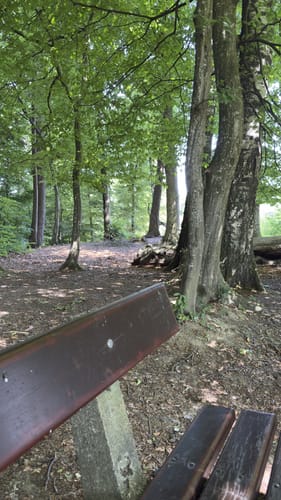 Rundweg entlang der Prien durch das Eichental