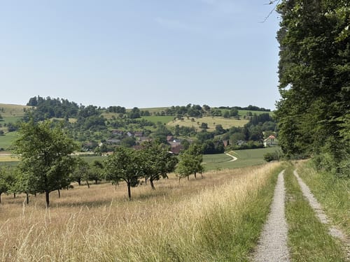 Neckarsteig Etappe 6: Neunkirchen - Neckargerach