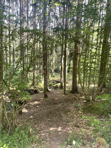 Steinenbronn - Musberg - Waldenbruch