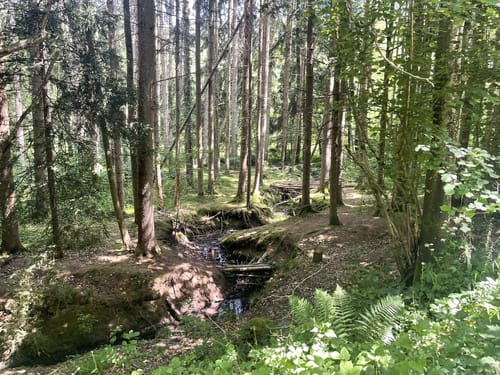 Steinenbronn - Musberg - Waldenbruch