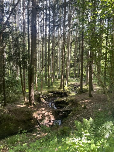 Steinenbronn - Musberg - Waldenbruch