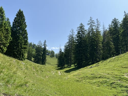 Zur Königsalm