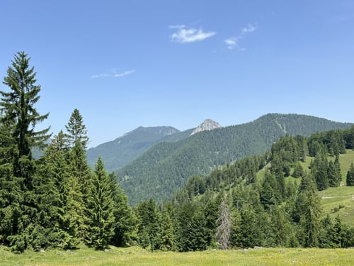 Zur Königsalm