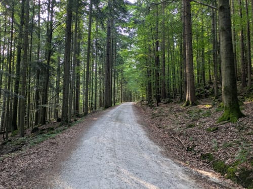 Riederin-Rundweg