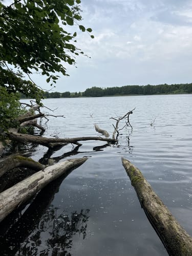 Rund um den Westensee