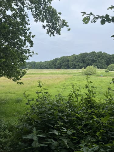 Rund um den Westensee