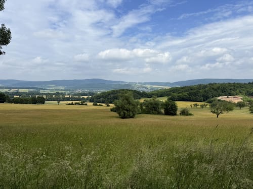 Durch den Wald bei Ermschwerd