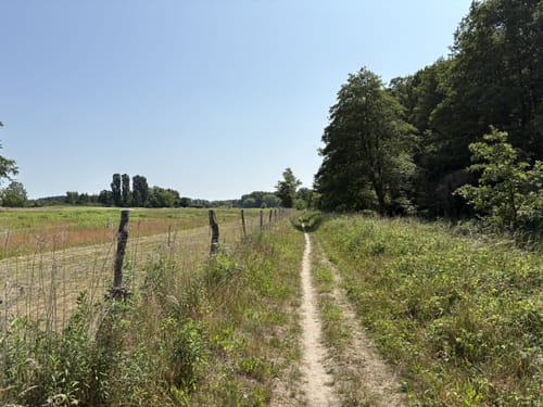 Rund  um den Seddiner See