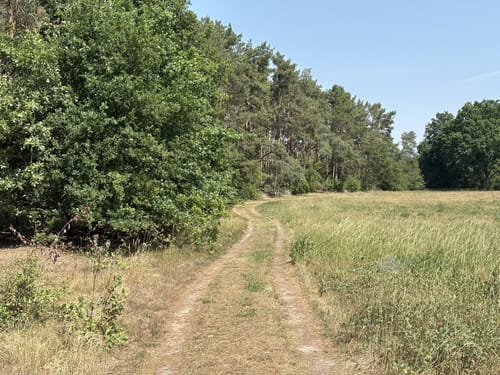 Rund  um den Seddiner See