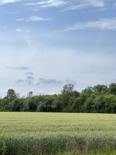 Alt-Hürth Rundweg