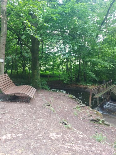 Nette-Runde: Wittekindsburg - Kloster Nette