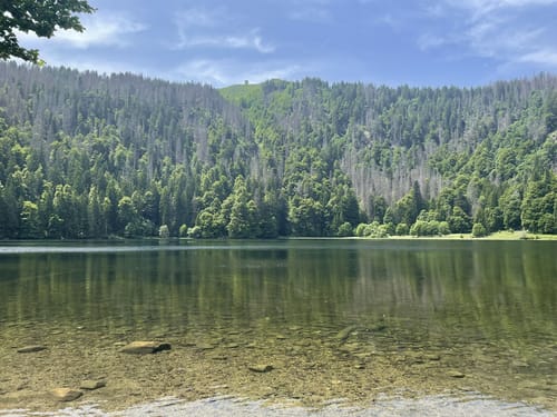 Feldbergsteig (Genießerpfad)