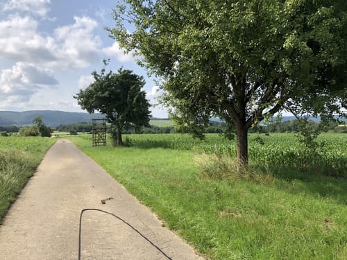 Mosbach-Neckareiz - Nüstenbachtal