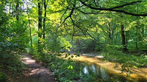Zwönitz - Kemtau - Chemnitz