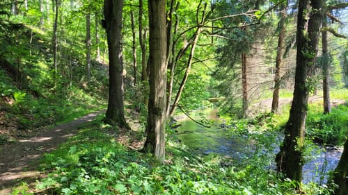Zwönitz - Kemtau - Chemnitz