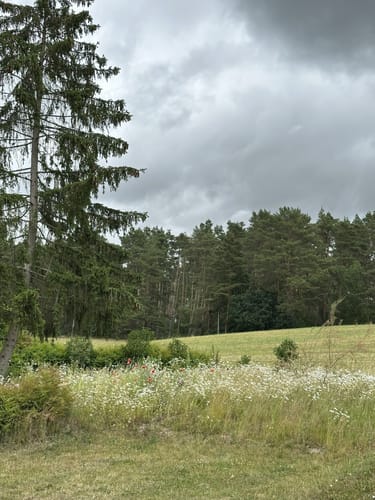 Um den Wolletzsee
