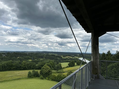 Narzissenwanderung am Weissen Stein