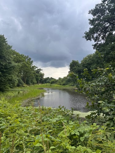 Wildebergweg