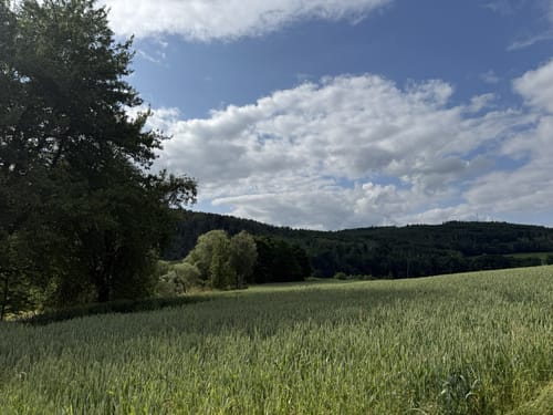 Walderlebnispfad Wechselburg