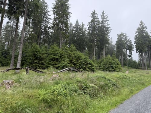 Auf den Großen Feldberg
