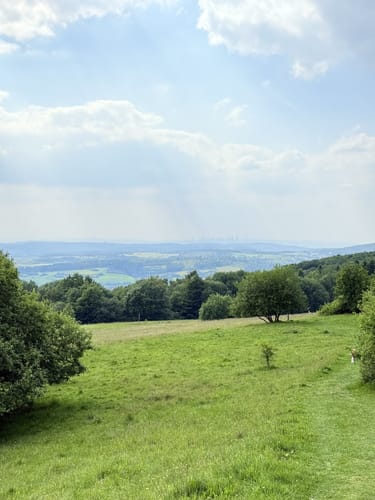 Hoher Meißner P1 (Premiumwanderweg)