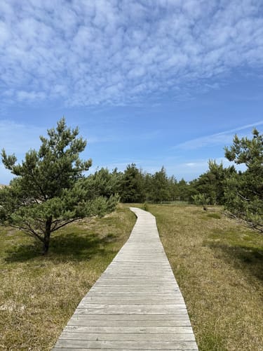 Ostsee und Bodden