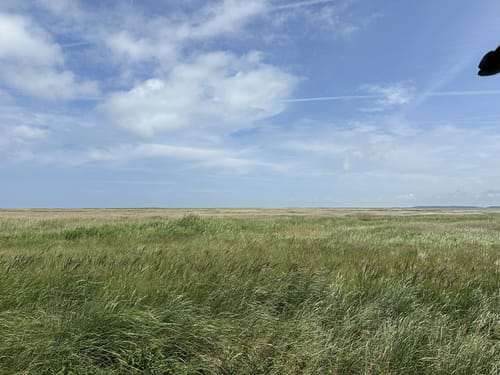 Ostsee und Bodden