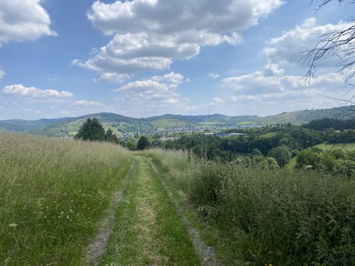 Märchenspur Bad Berleburg (Premiumspazierwanderweg)