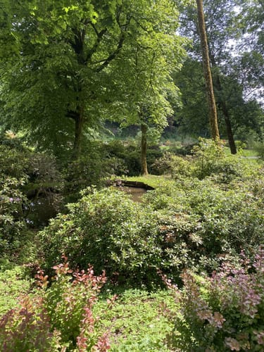 Märchenspur Bad Berleburg (Premiumspazierwanderweg)