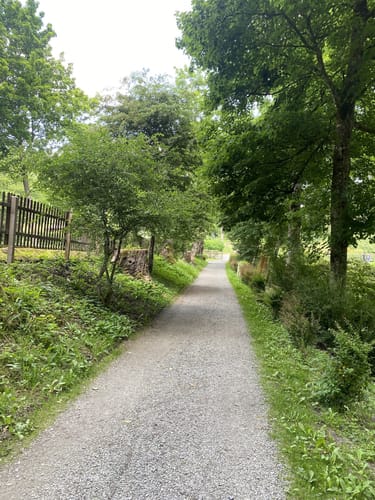 Märchenspur Bad Berleburg (Premiumspazierwanderweg)