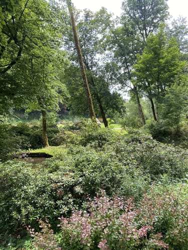 Märchenspur Bad Berleburg (Premiumspazierwanderweg)