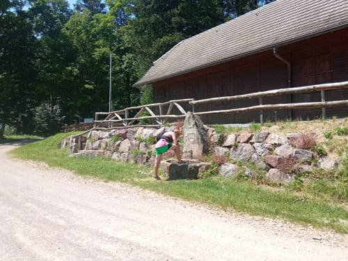 Ortenauer Sagenrundwege: Steinfirst-Rundweg
