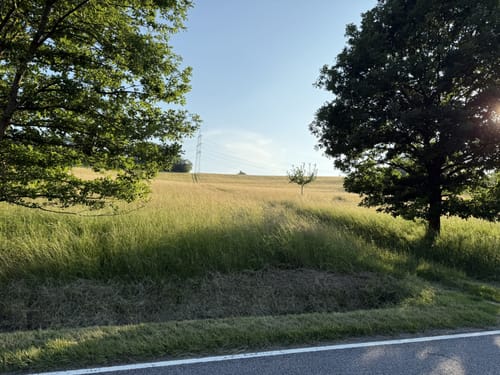 Schäfersberg - Niederjosbach -Wolfsgraben