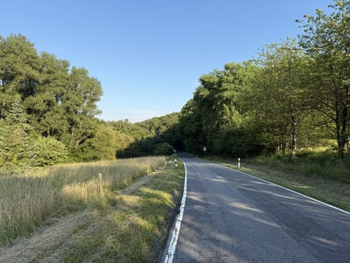 Schäfersberg - Niederjosbach -Wolfsgraben