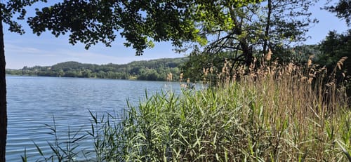 Um den Ilmensee