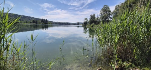Um den Ilmensee