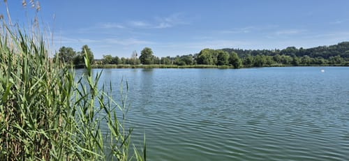 Um den Ilmensee