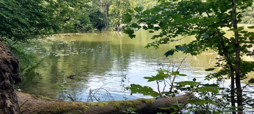 Rund um den Ukleisee