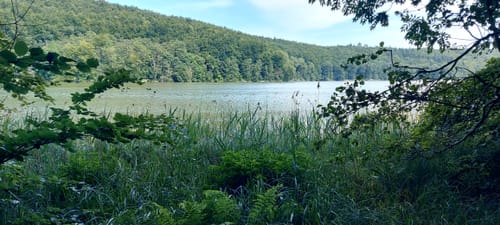 Rund um den Ukleisee