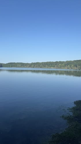 Halde Rheinpreußen - Waldsee - Lohheidesee
